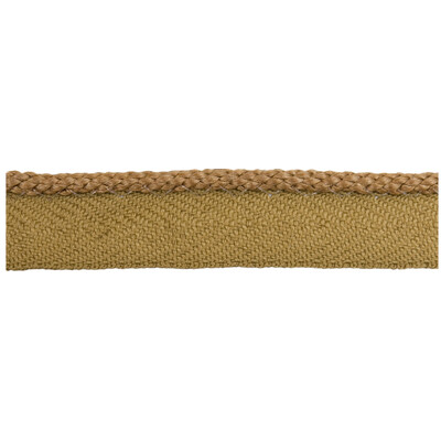 Threads NARROW CORD.BRONZE.0 T30562 Trim Fabric in Yellow/Brown